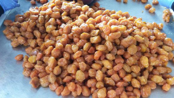 Therapeutic Characteristics of Dried Plum Bukhara