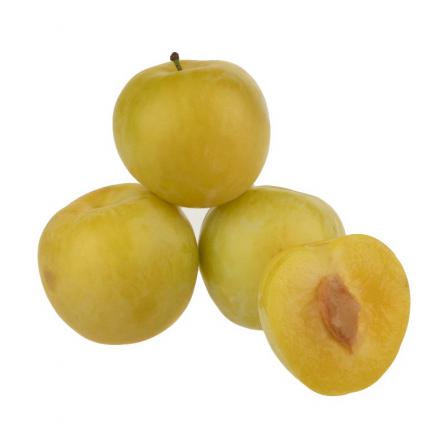 Better understanding of yellow plums