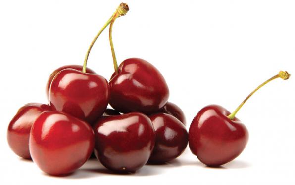 Premium Official Sour Cherry Wholesales